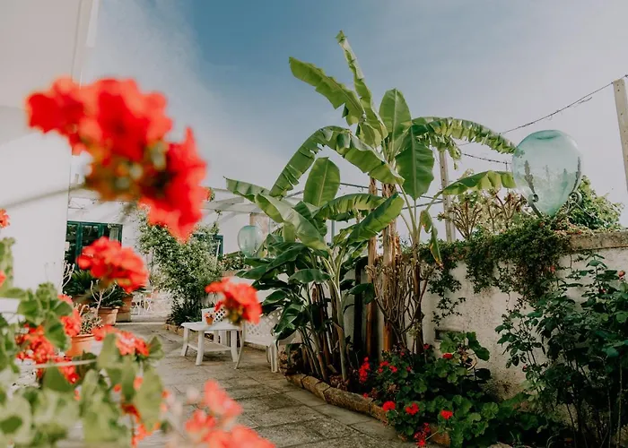 Masseria Agriturismo Il Sorriso Degli Ulivi - Dimora di Charme Gallipoli
